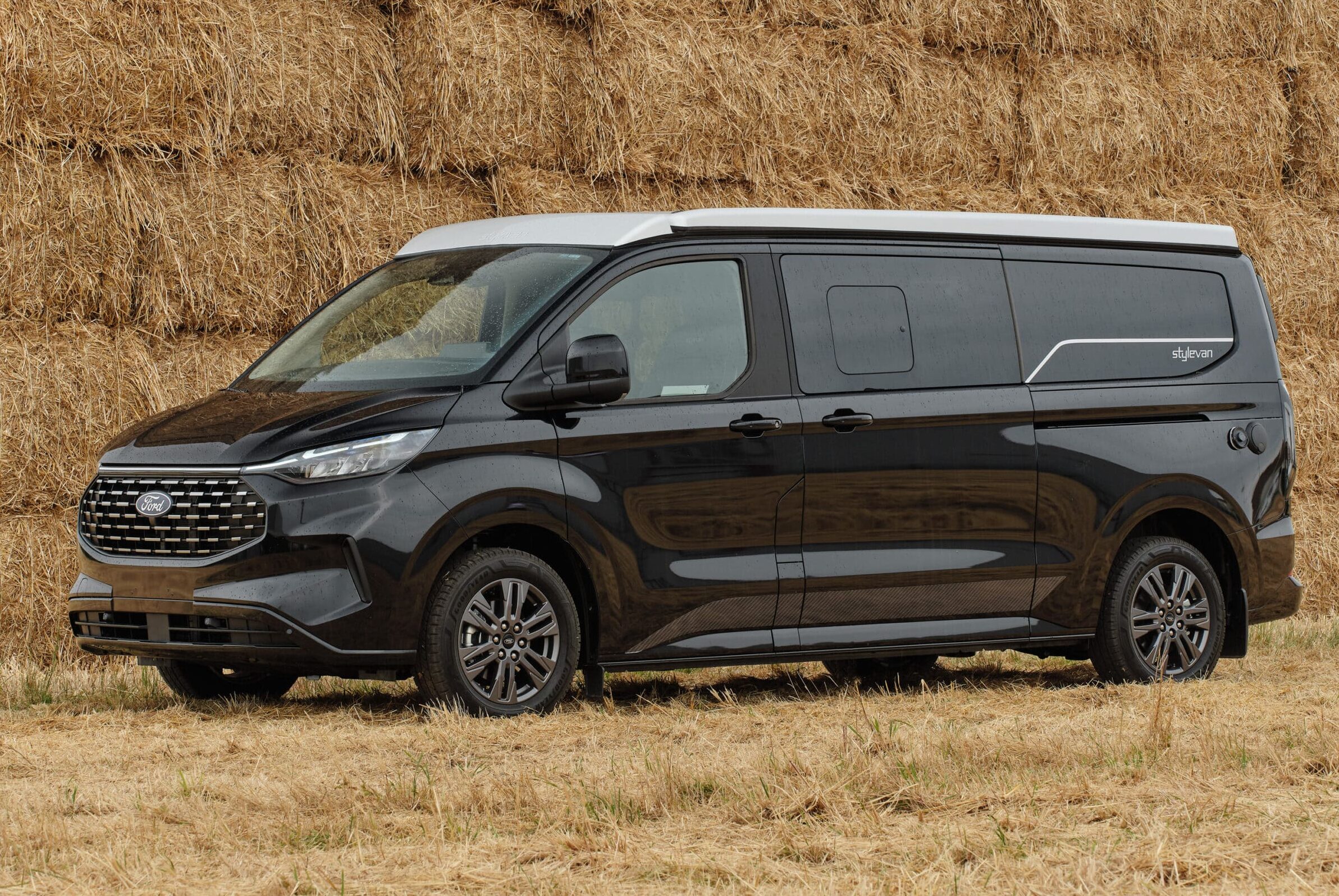 BELIZE__DSF6385BELIZE